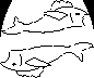 poisson